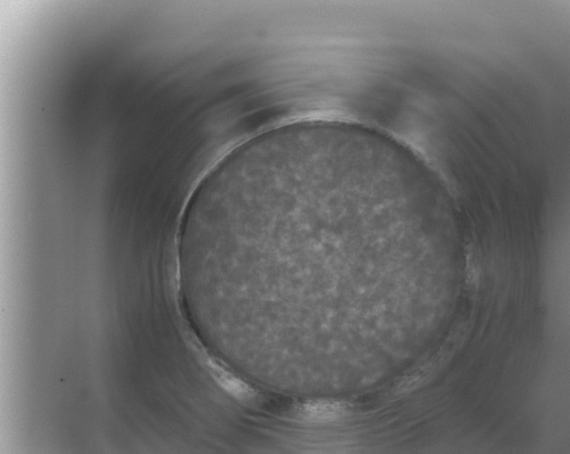 X0000069391274200605262107