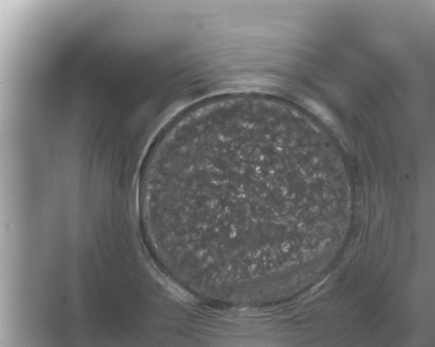 X0000069391275200605262107