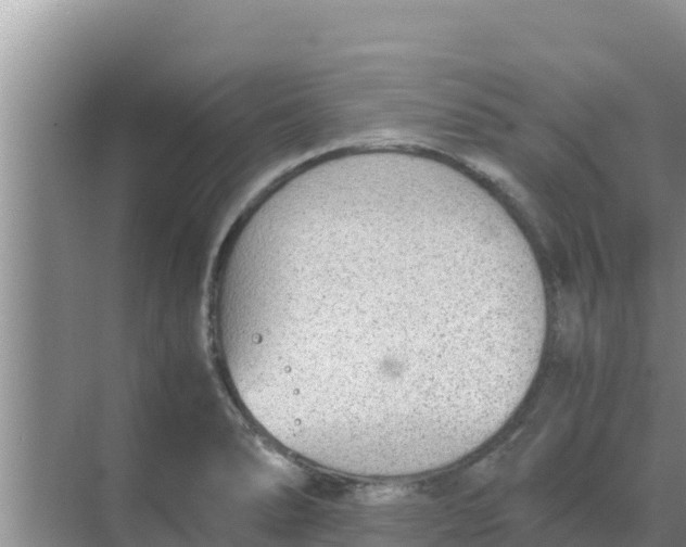 X0000069391278200605262107