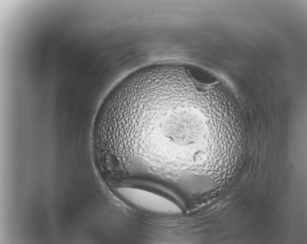 X0000069391279200605262107