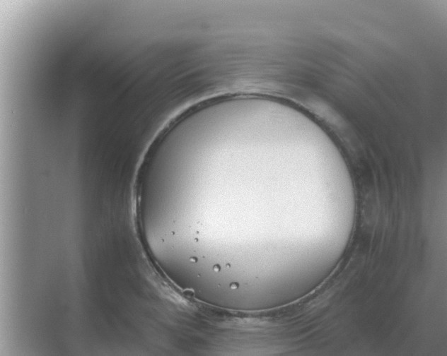 X0000069391280200605262107