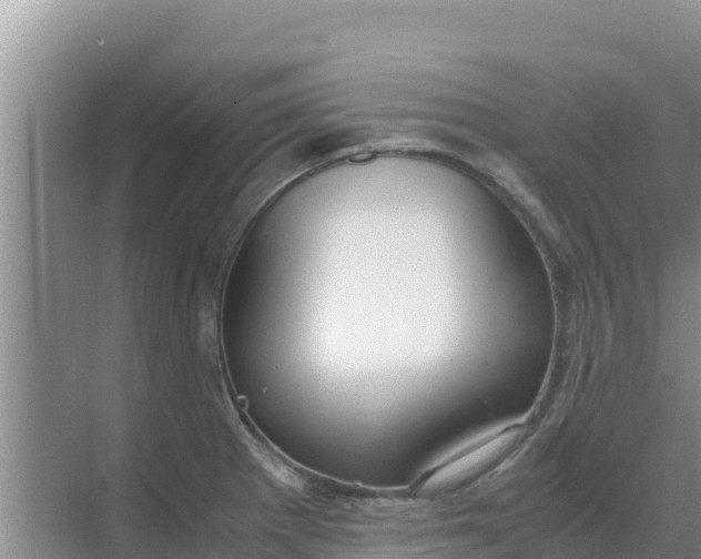 X0000069391281200605262107