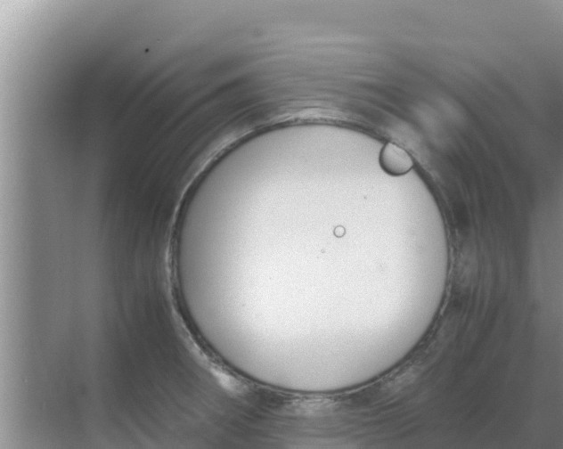 X0000069391282200605262107