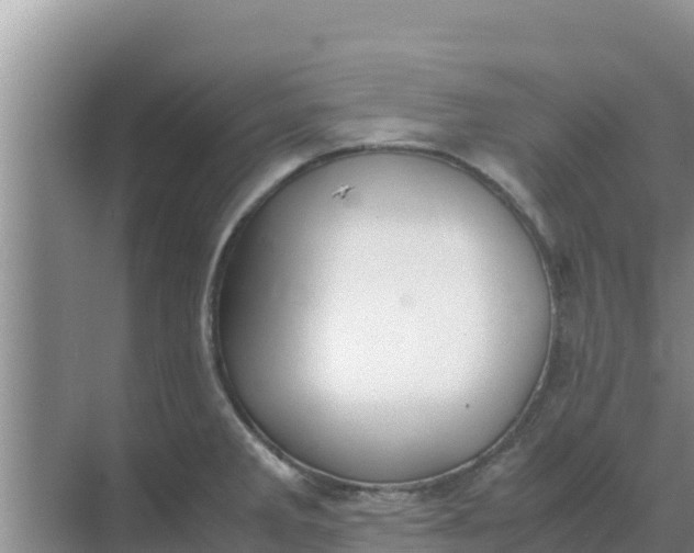 X0000069391285200605262107