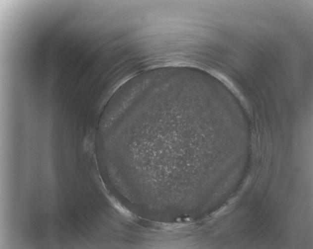 X0000069391289200605262107