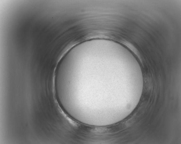 X0000069391290200605262107