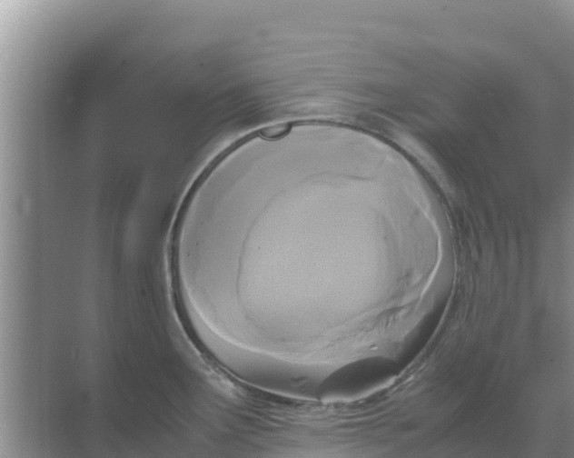 X0000069391291200605262107