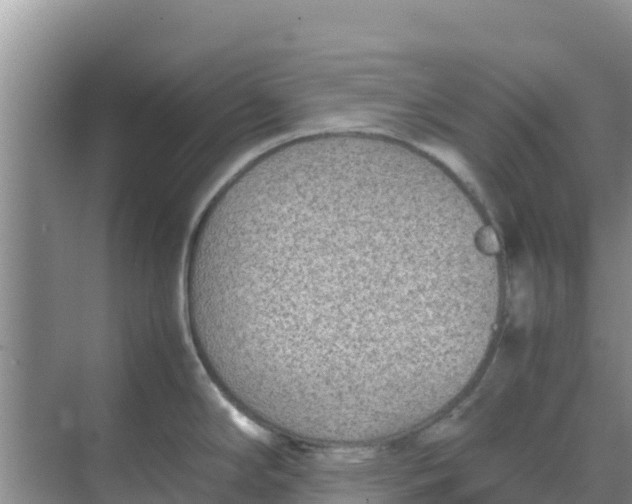 X0000069391294200605262106