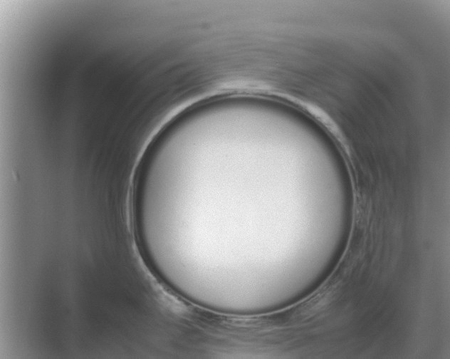 X0000069391295200605262106