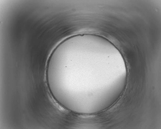 X0000069391296200605262106