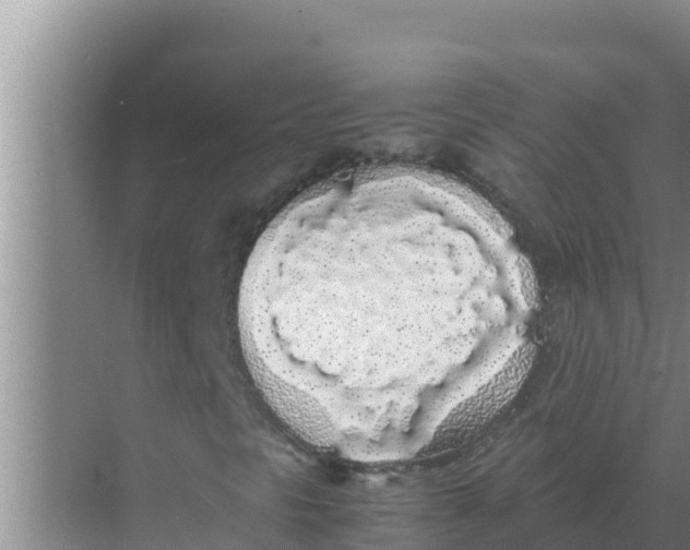 X0000069391297200605262106