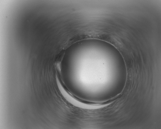 X0000069391298200605262106