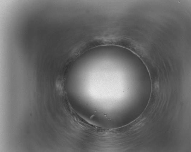 X0000069391300200605262106