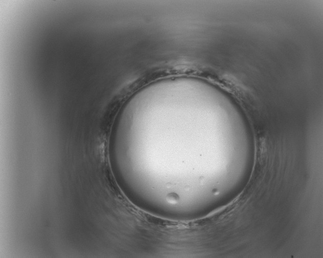 X0000069391302200605262106