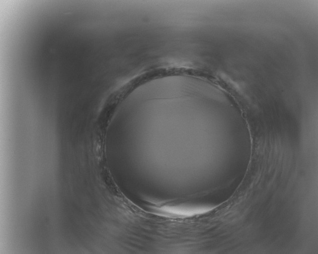 X0000069391303200605262106