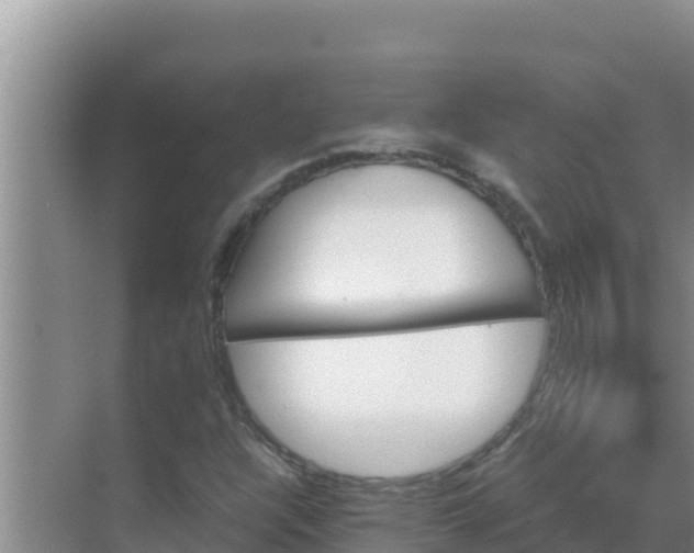 X0000069391304200605262106