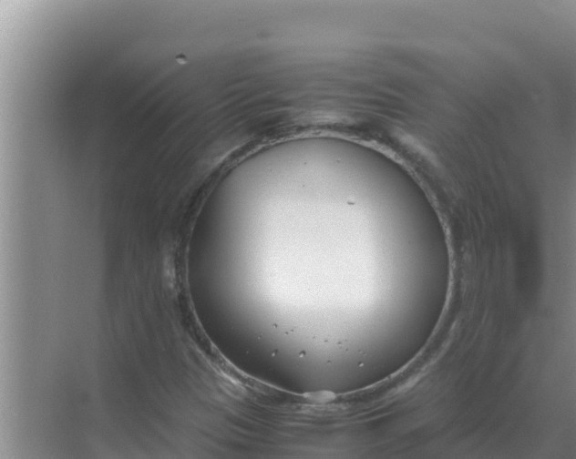 X0000069391305200605262106