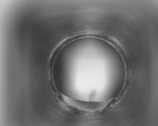 X0000069391310200605262106