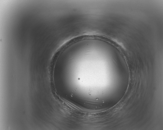 X0000069391311200605262106