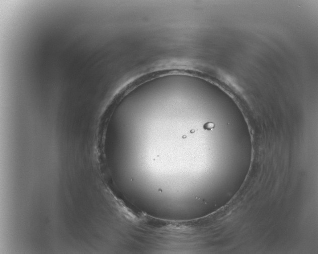 X0000069391312200605262106