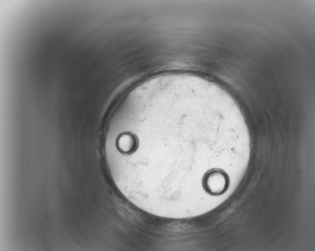 X0000069391314200605262106