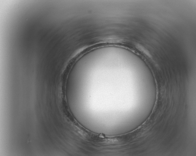 X0000069391315200605262106