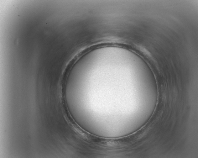 X0000069391318200605262106