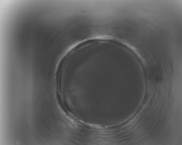 X0000069391319200605262106