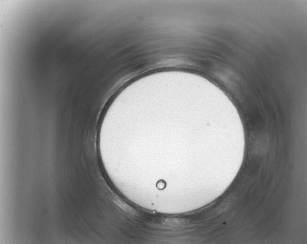 X0000069391322200605262106