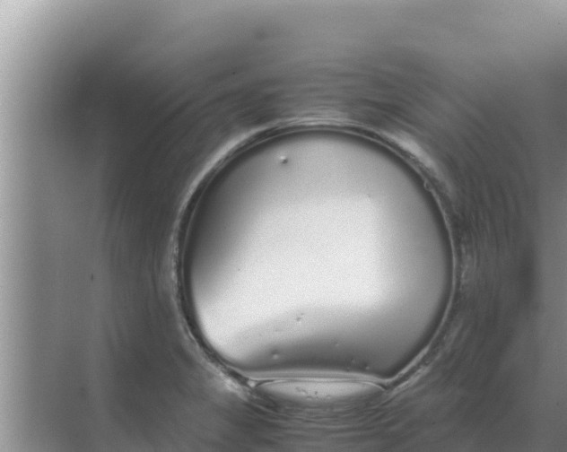 X0000069391325200605262106