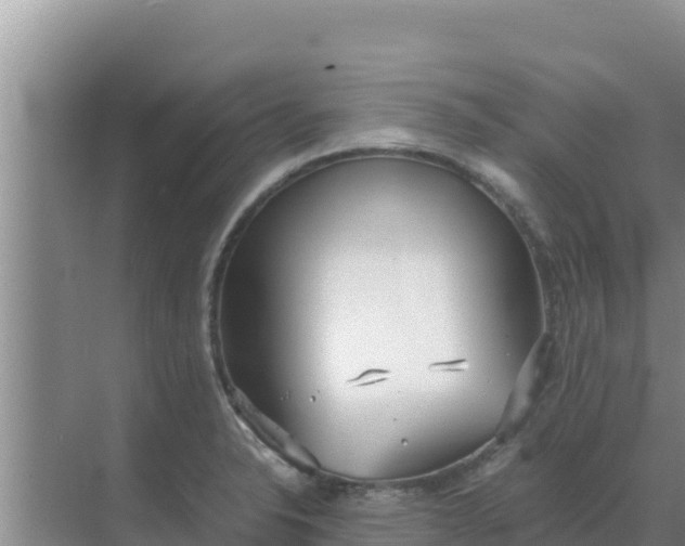 X0000069391326200605262106