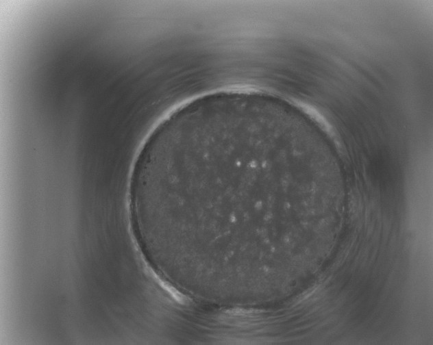 X0000069391327200605262106