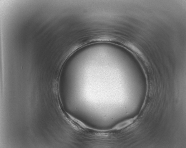 X0000069391329200605262106