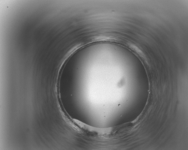 X0000069391330200605262106