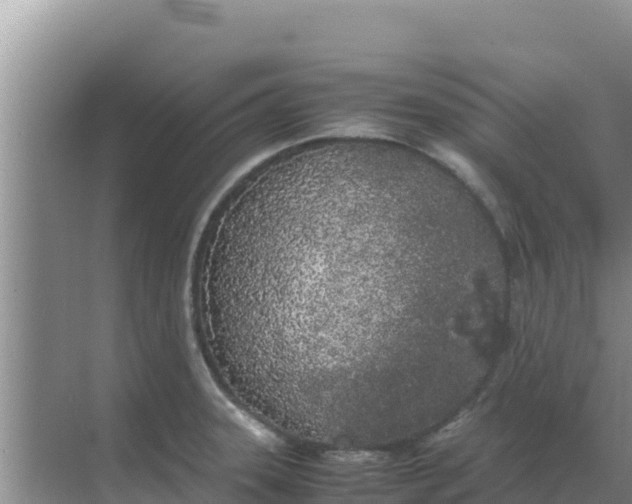 X0000069391331200605262106