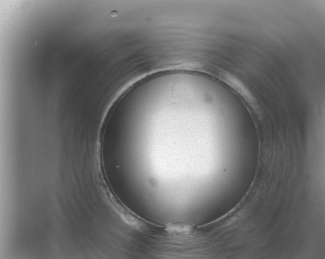 X0000069391332200605262106