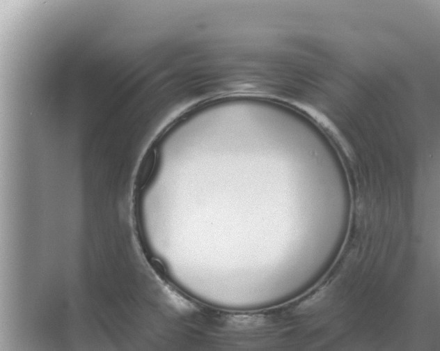 X0000069391333200605262106