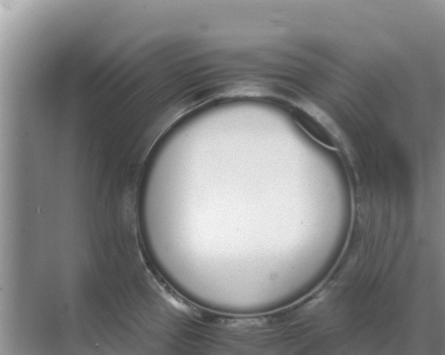 X0000069391337200605262106