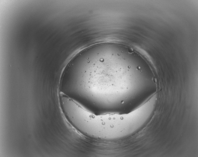 X0000069391338200605262106