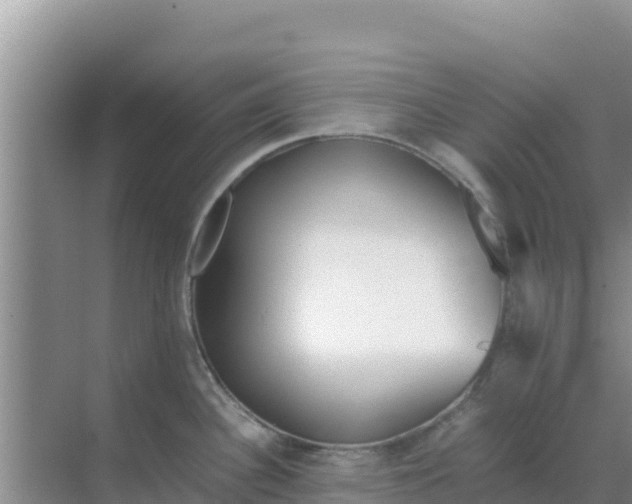 X0000069391340200605262106