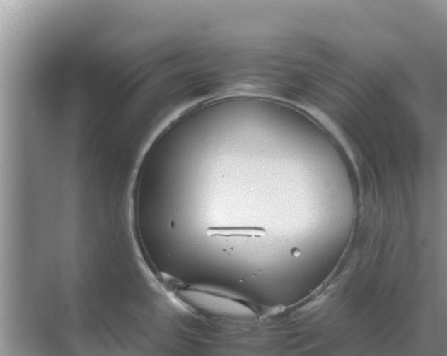 X0000069391341200605262106