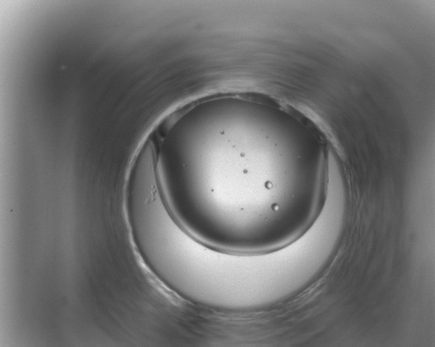 X0000069391342200605262106