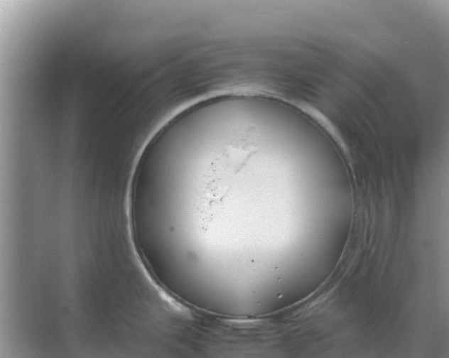 X0000069391343200605262106