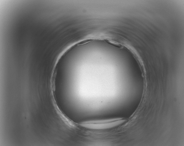 X0000069391344200605262106