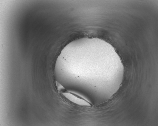 X0000069391345200605262106