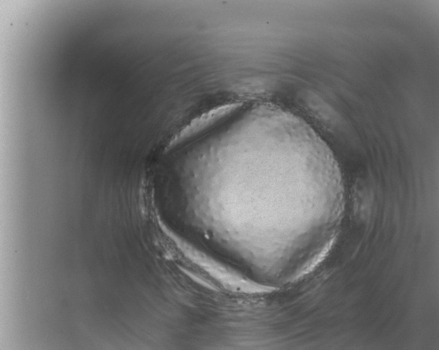 X0000069391346200605262106