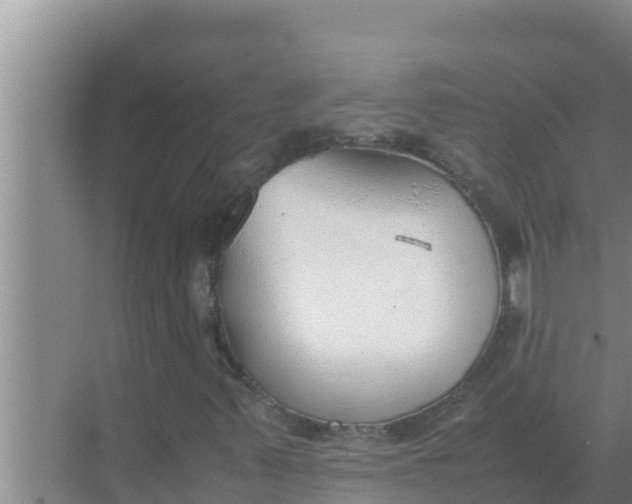 X0000069391347200605262106