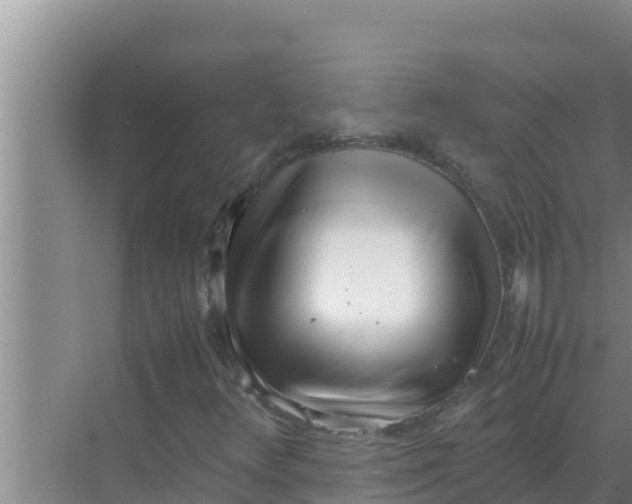 X0000069391348200605262106