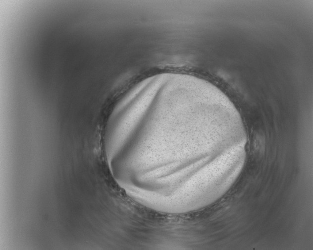 X0000069391350200605262106