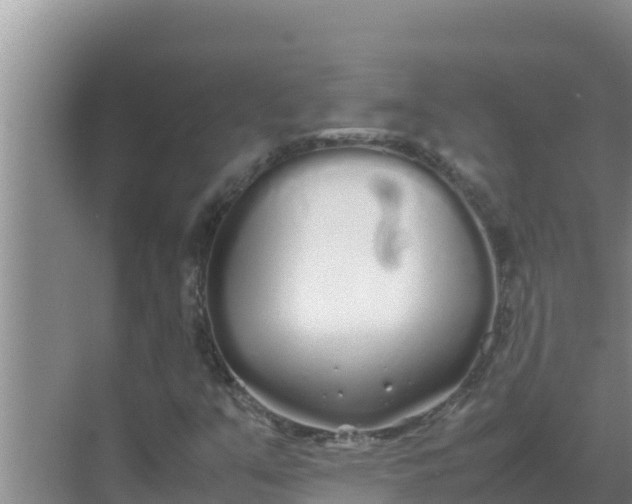 X0000069391351200605262106